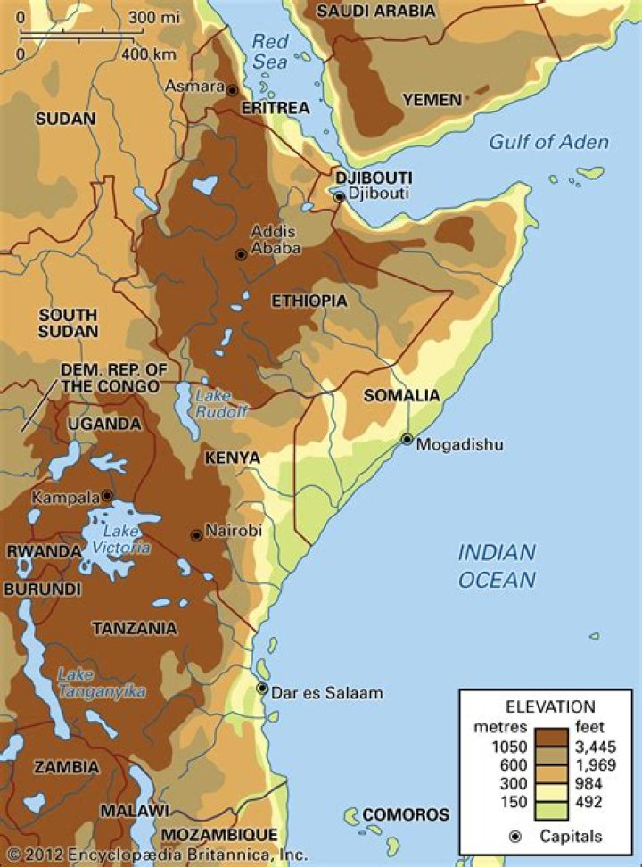 A map showing where to find Dinossom in early-game Palworld areas.