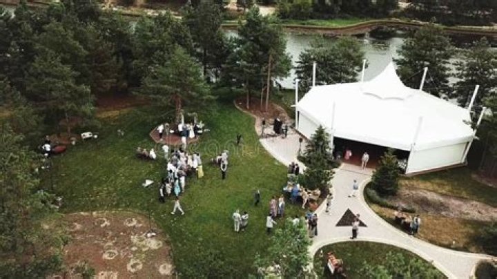 An outdoor gathering featuring a dozen Pikachu and a Dragonite, along with assorted other Pokemon