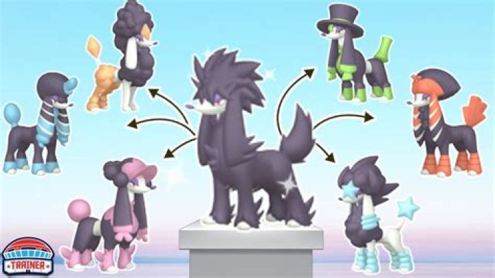 Furfrou&rsquo;s regular and Shiny forms with all the trims. In each version of the Shiny, the white and black fur pattern on Furfrou is inverted. Its skin is white and its fur is black, instead of the other way around. Each Furfrou trim has a different featured color. Dandy is green, Debutante is yellow, Diamond is orange, Pharaoh is dark blue, Heart is pink, Kabuki is red, La Reine is light blue, Matron is dark pink, and Star is sky blue.