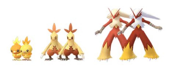The Shiny forms for Torchic, Blaziken, and Combusken in Pok&eacute;mon Go